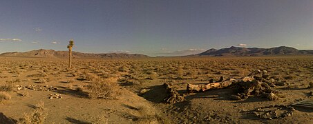 Dans le désert des Mojave, se trouvent les restes du Joshua Tree figurant sur l'album de U2. L'arbre est tombé durant l'hiver 1999-2000 puis vandalisé. C'est devenu un lieu de pèlerinage pour les fans du groupe du monde entier et nombre d'entre eux ont laissé des hommages sur le site.