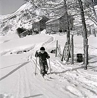 Lyder Kvantoland: Mladý chlapec při lyžování na zasněžené cestě, 1954