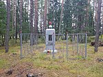 Братская могила сельских советских активистов Г.И. Рочева и А.П. Юсева, убитых белобандитами