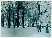 Зімовы лес пад Менскам. 1925—1927 гады