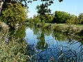 Le canal - Saint-Laurent-de-la-Prée