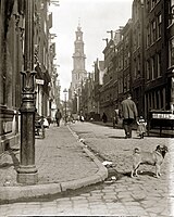 De Bloemstraat in de Jordaan; 1902