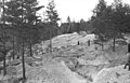 حفر الجيش الألماني للمقابر الجماعية بغابة كاتين لاستخراج جثث الضحايا في مارس 1943