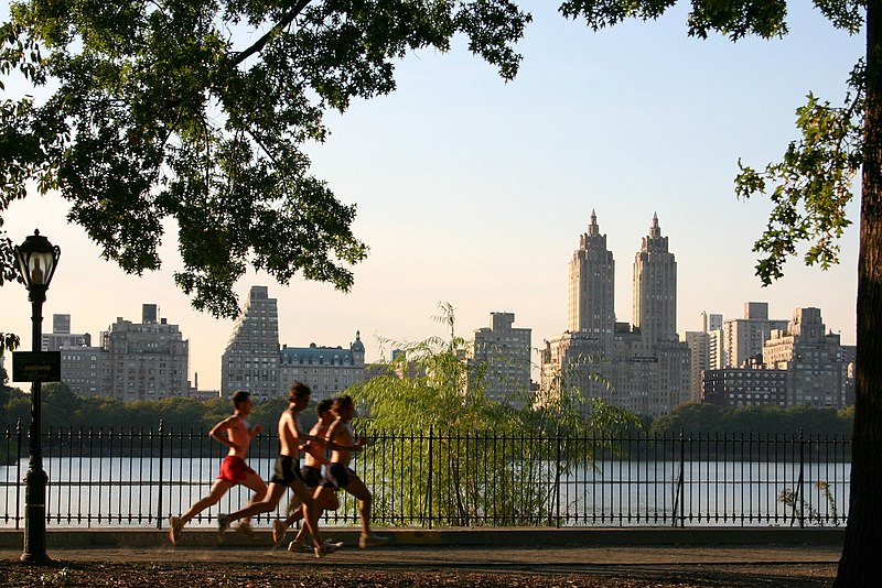 800px Central Park jogging 運動すると頭が良くなる！脳細胞も増えると判明！