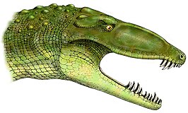 Erpetosuchus