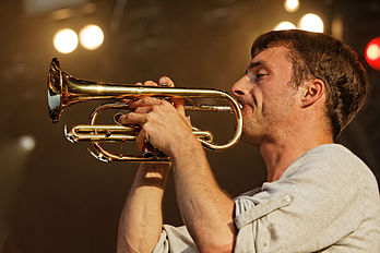 François Marry, du groupe Frànçois and The Atlas Mountains, lors du festival des Vieilles Charrues 2014. (définition réelle 5 184 × 3 456)