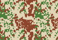 Flecktarn Gurun Eksperimental Prancis