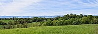 Panorama de Gensac-de-Boulogne: le clocher de l'église émaergeant de la verdure acec en arrière-plan les Pyrénées.