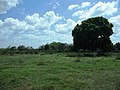 Hubilá, Yucatán.