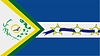 Flag of São João d'Aliança