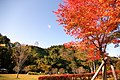 城山公園（岩出山城跡）