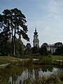 View of the garden