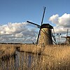 Jeden z wiatraków w Kinderdijk