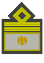MVSN-Luogotenente generale.svg