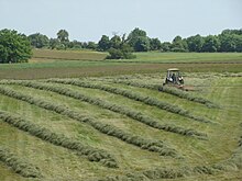 Photo d'une prairie fauchée où un tracteur andaine du foin avant l'emballage.