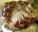 Largest opal-filled thunderegg in the world, from Opal Butte in Oregon