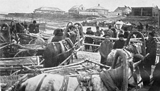 A barge transporting horse-drawn carts on the Yenisei River, 1913.