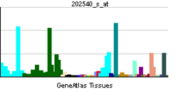 PBB GE HMGCR 202540 s at tn.png