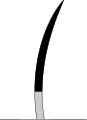 Haarfärbung bei Rauchfarbe (Smoke)