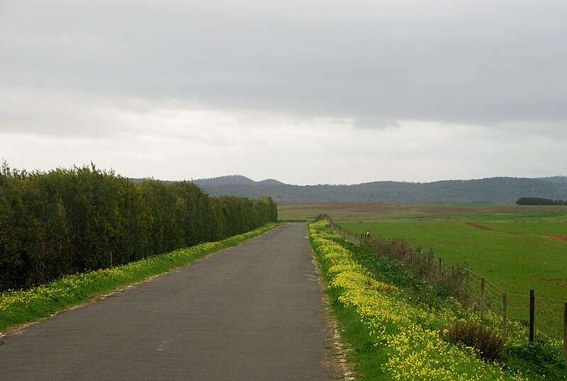 Image:Porto Covo January 2008-3.jpg