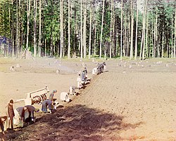 Orthodox monks farming potatoes in Russia, c. 1910 Prokudin-Gorskii-39.jpg