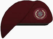 Recce Beret 2.jpg