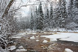 Нижнее течение реки зимой 2009 года.