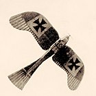 Etrich Taube monoplane