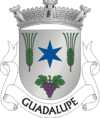 Brasão de armas de Guadalupe