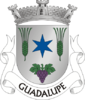 Coat of arms of Guadalupe