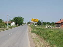 Stari Perkovci in 2009