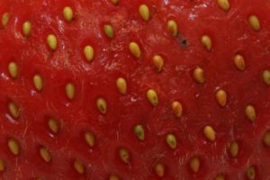 Closeup of the surface of a strawberry