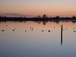 A lake at sunset with gulls on its surface