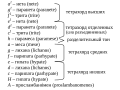 Мініатюра для версії від 11:43, 25 лютого 2015