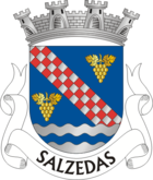 Wappen von Salzedas