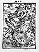 Аббат. Из серии «Пляска смерти». 1524—1526. Гравюра на дереве