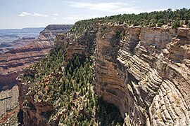 Blick vom Yavapai Point am South Rim über den mächtig gebankten Kaibab Limestone