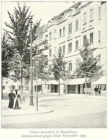 Ulmus × hollandica 'Superba', Magdeburg September 1907.jpg