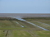 Buitendijks gebied aan de Waddenzee