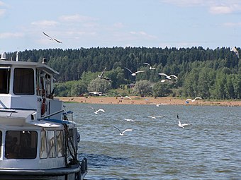 Теплоход во время рейса