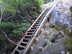 山頂直下の梯子