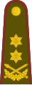 Generolas majoras (Lithuanian Land Forces)[३९]