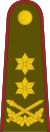 20-Литовская армия-MG.svg