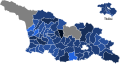 2013 Presidential Election by district