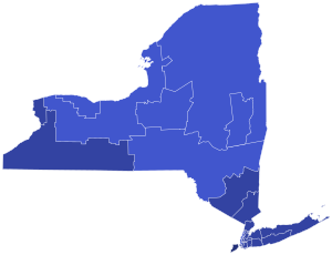 2024 New York Republican presidential primary results by district map.svg