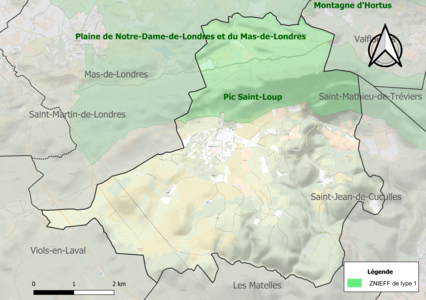 Carte des ZNIEFF de type 1 sur la commune.