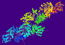 AcetaldehydeDehydrogenase-1NVM.png