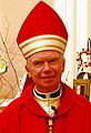 Aartsbisschop Brendan O'Brien in 2008