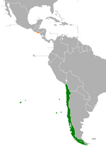 Miniatura para Relaciones Chile-El Salvador