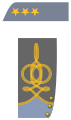 Colonel (Infantry shown)